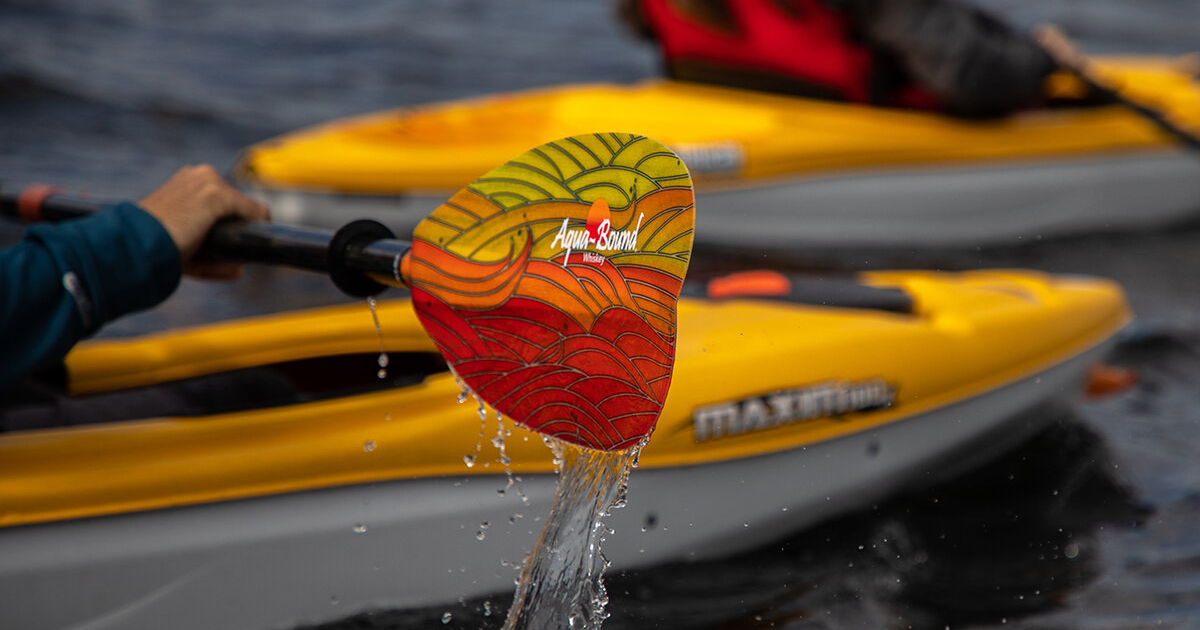 Kayak Paddle Strokes In4adventure