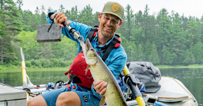 ken whiting with a musky on the water in algonquin park summertime fishing trip