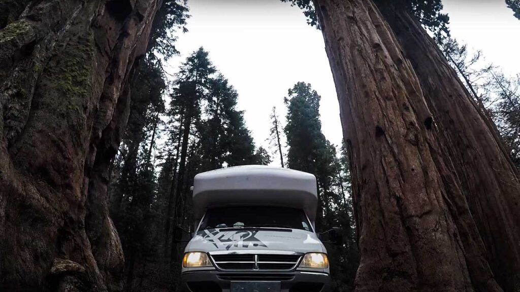 Sequoia National Forest is an amazing adventure for the family!