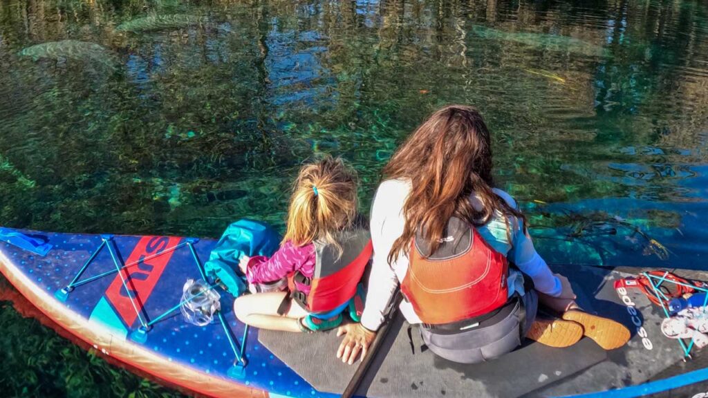 Manatee watching is incredible in the Florida Springs and very accessible by kayak or SUP.