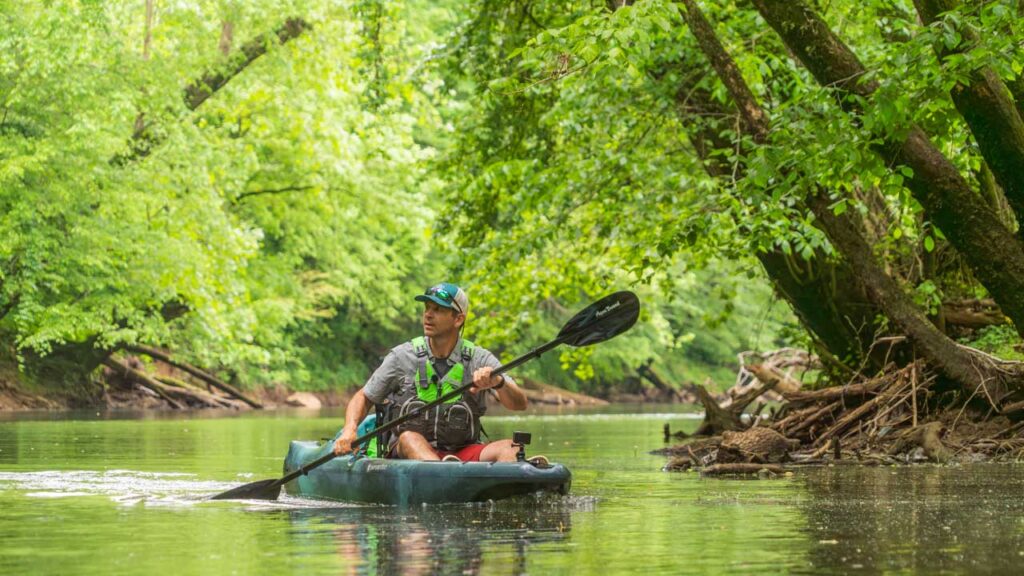 Tennessee rivers are generally a rich experience, paddling the Flint River is no different.