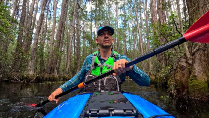 Day 3: Winding through the tall Cypress forests on the Suwanee River
