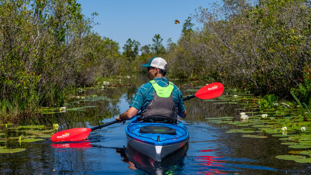 Day 1: Much of our day was spent paddling through thick brush