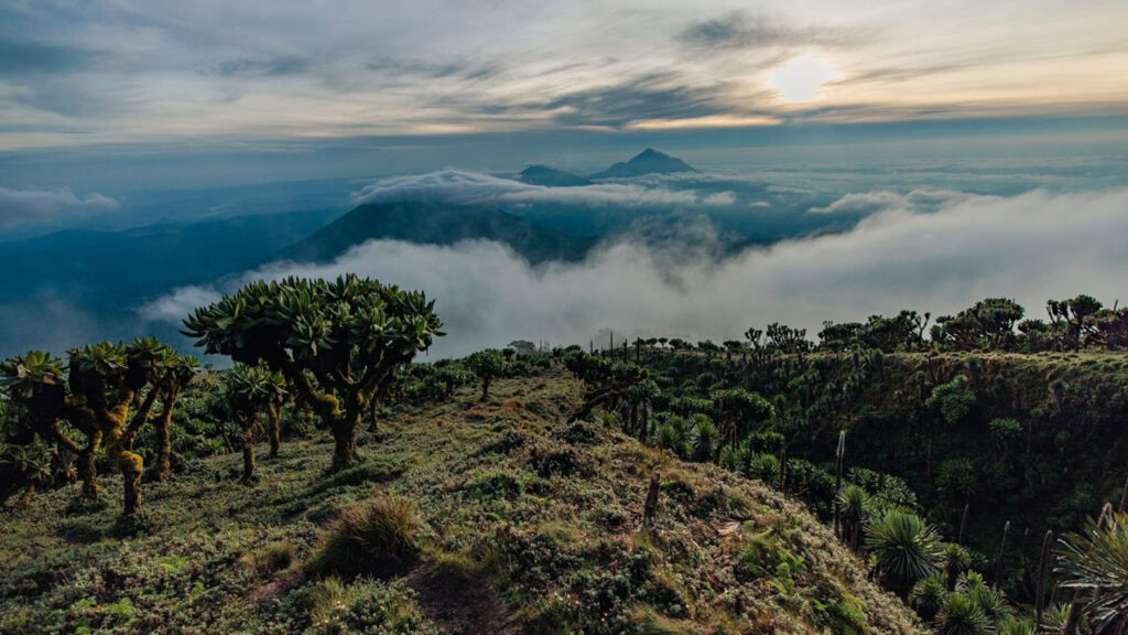 Highest point in this hiking trip of Rwanda