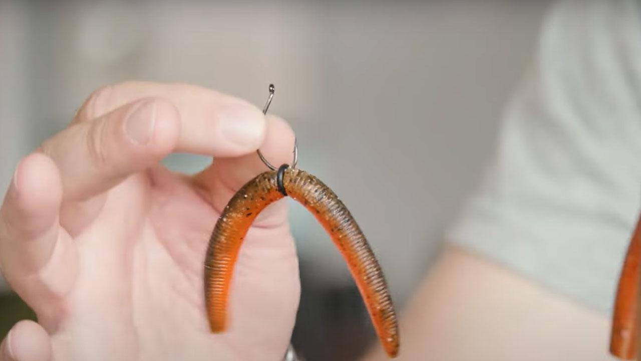 pin worms under nail｜TikTok Search