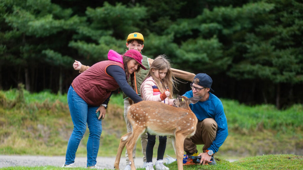 Autumn activities in Quebec for families has to include Parc Omega!