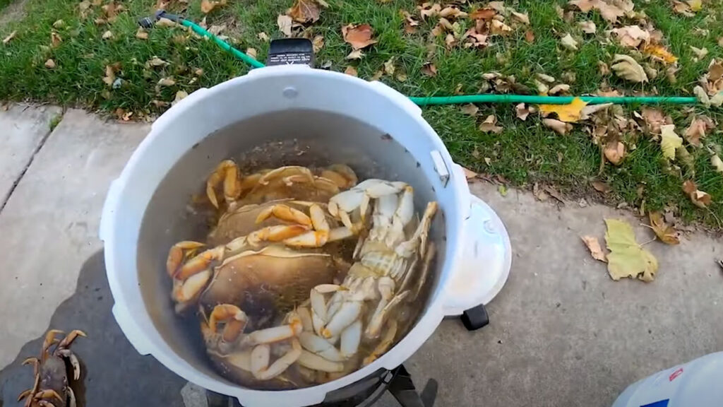Boiling is my go to for crabs.