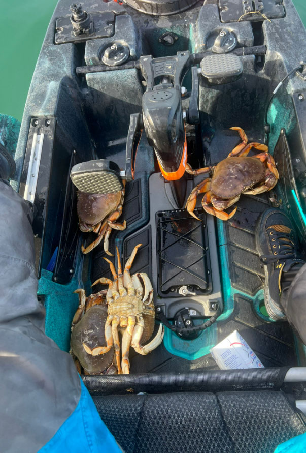 When you have a boat full of crabs, its important to manage them properly.