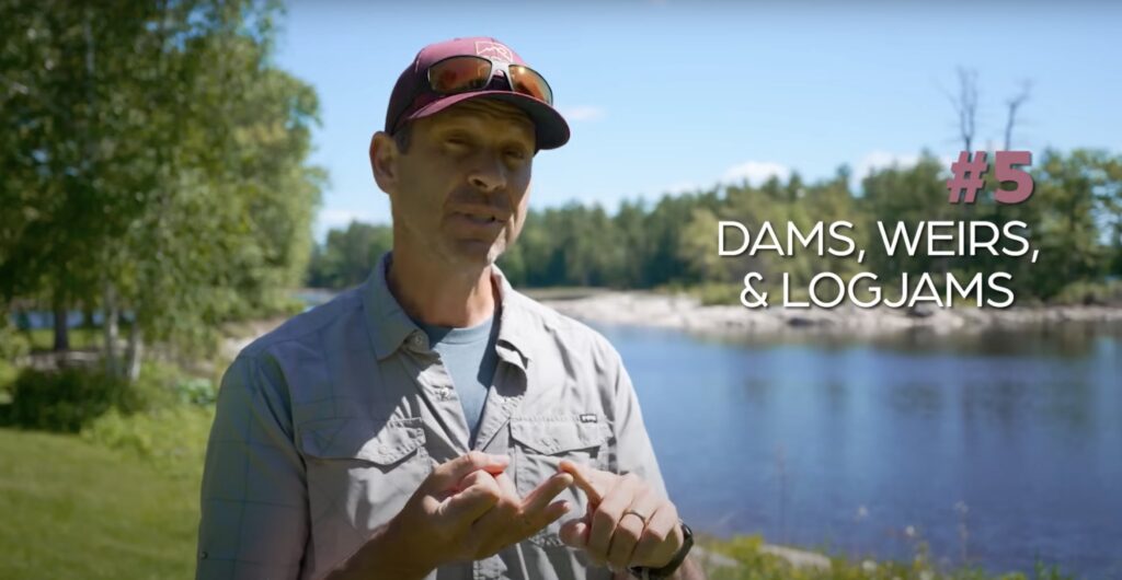 log jams and dam