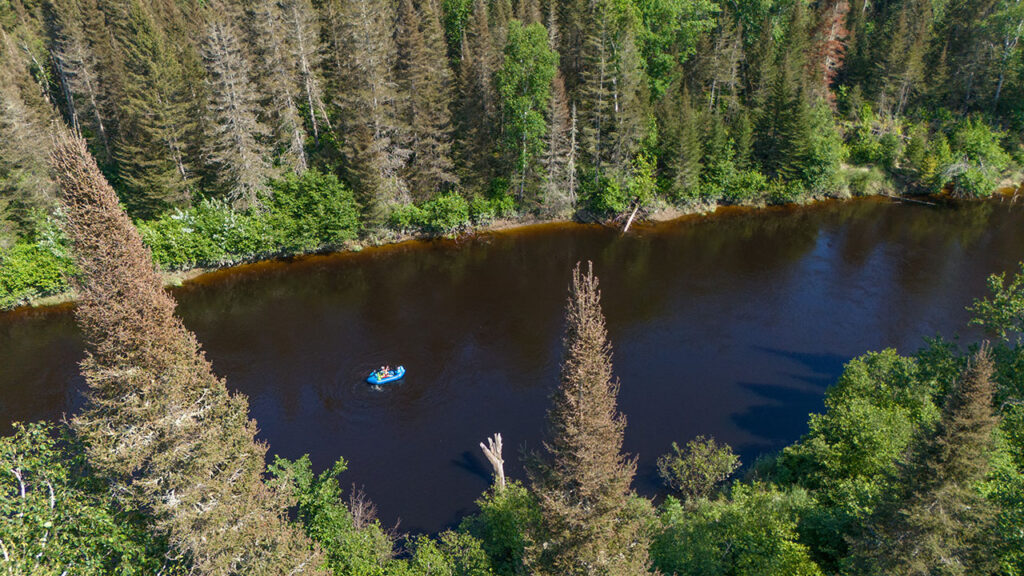 neutron packraft