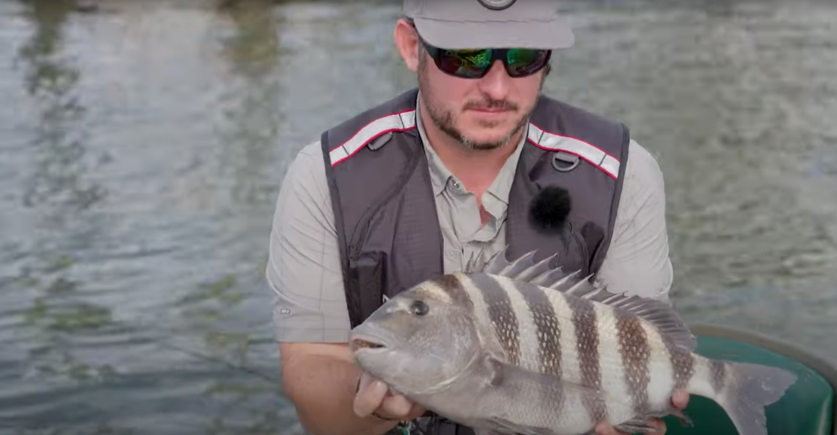 sheepshead fishing in north carolina