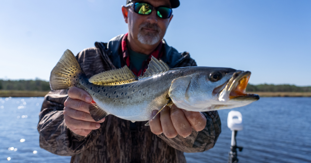 captain dehart pamlico sound north carolina