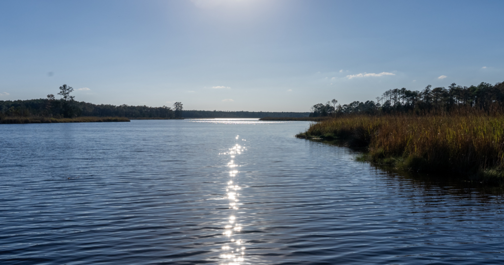 pamlico sound fishing