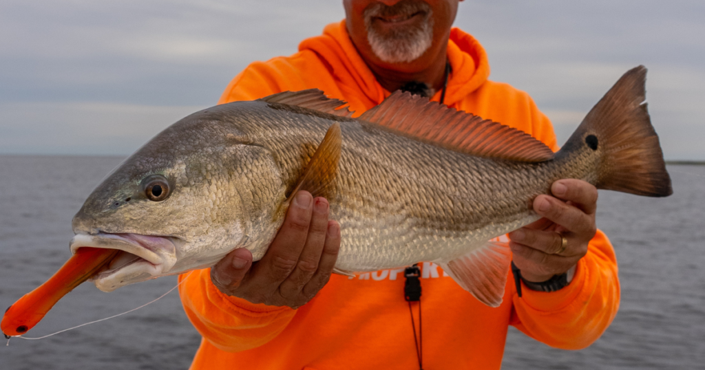 captain brian dehart pamlico sound mossy oak properties land and farms realty