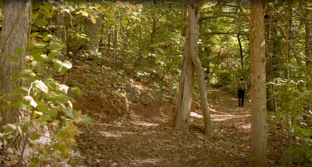 Old Rag Mountain and trail are worth the visit if you are going to the Shenandoah Valley area