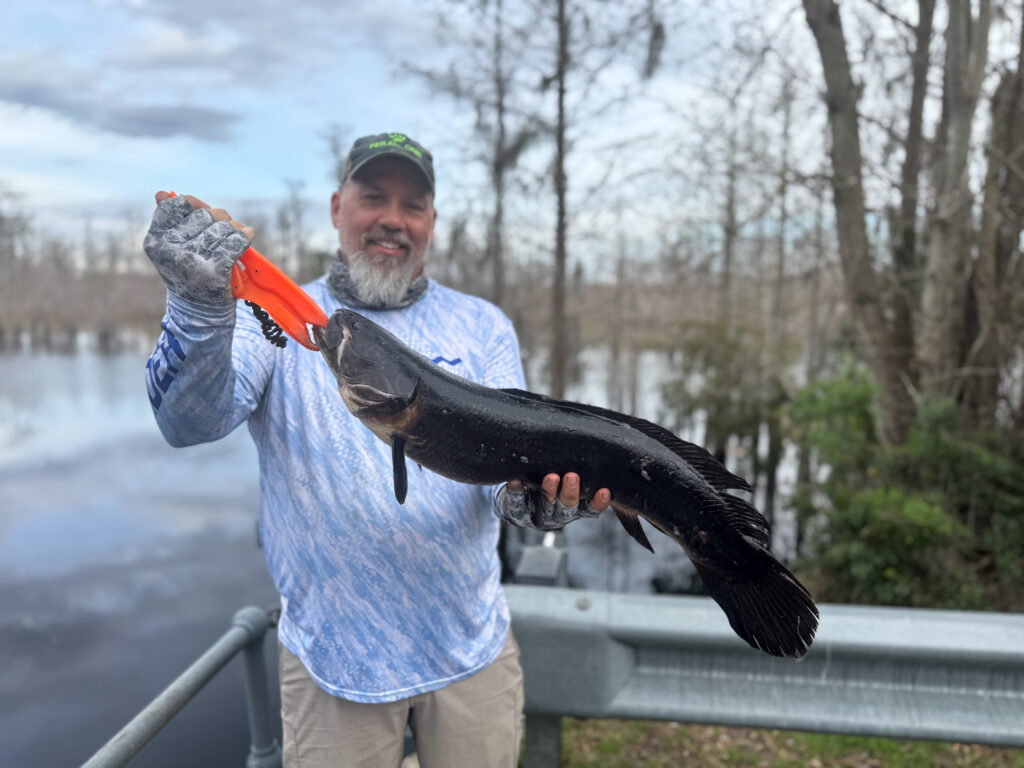 kayak fishing Okefenokee swamp,
Chris Funk holding bowfin fish