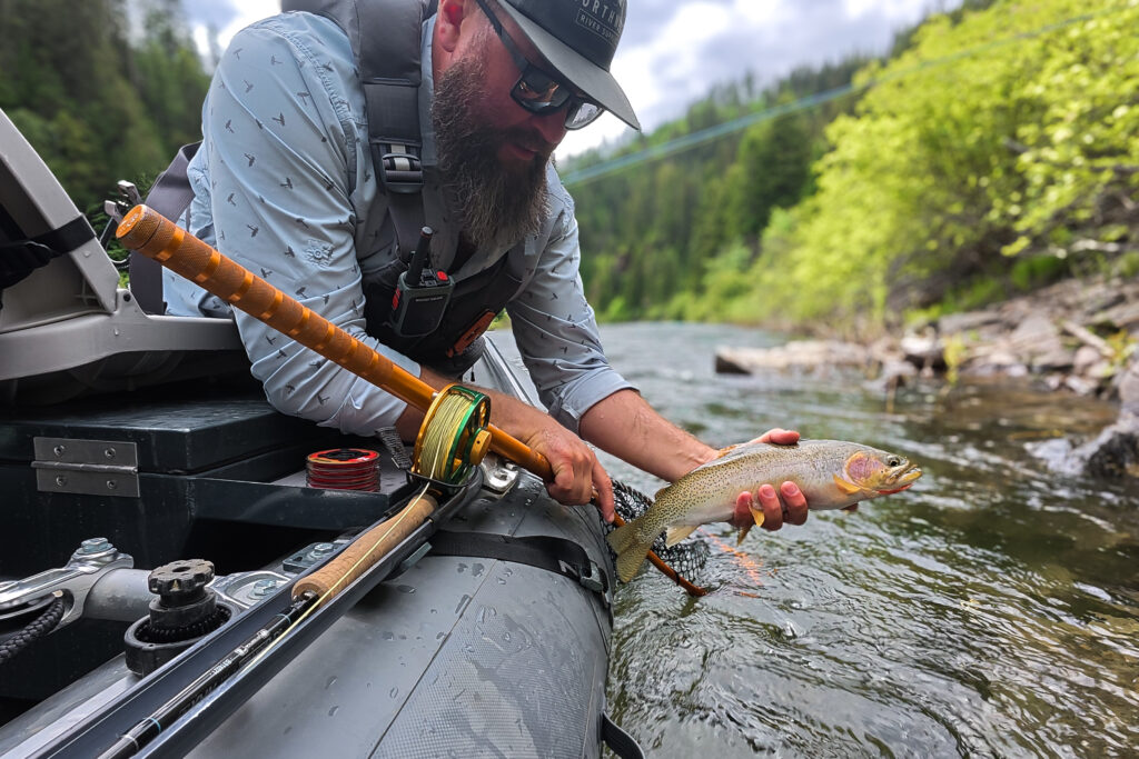 st joe westslope cutthroat trout