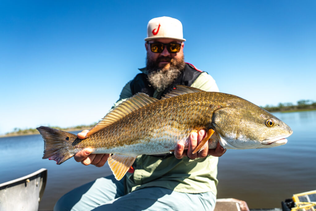 red fish